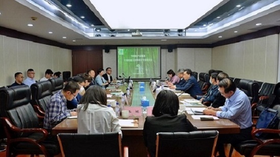 公司召开竹缠绕复合材料项目专家研讨会