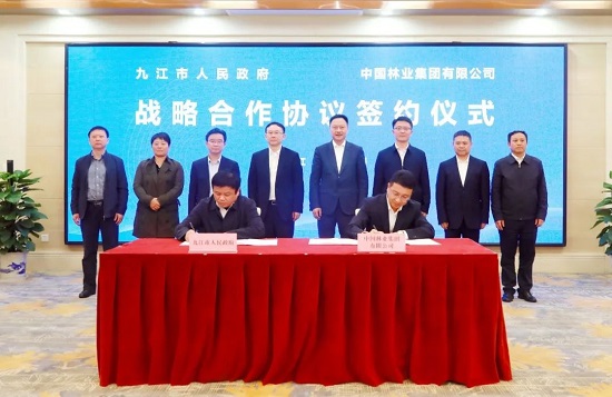 中林集团与九江市政府签署战略合作协议